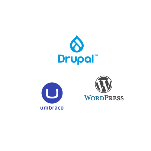 פיתוח אתרי Drupal, Umbraco ו-Wordpress